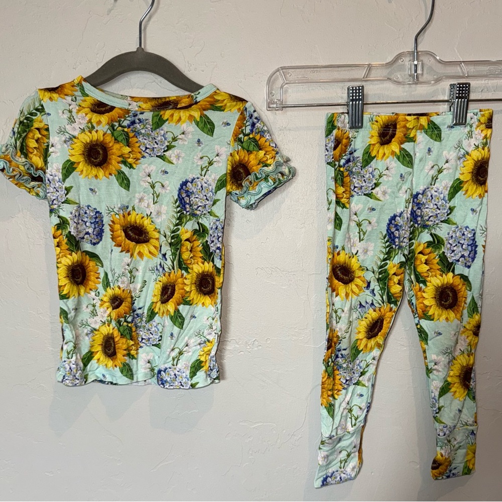 Posh Peanut Sunny 2T short sleeve pajama set, GUC